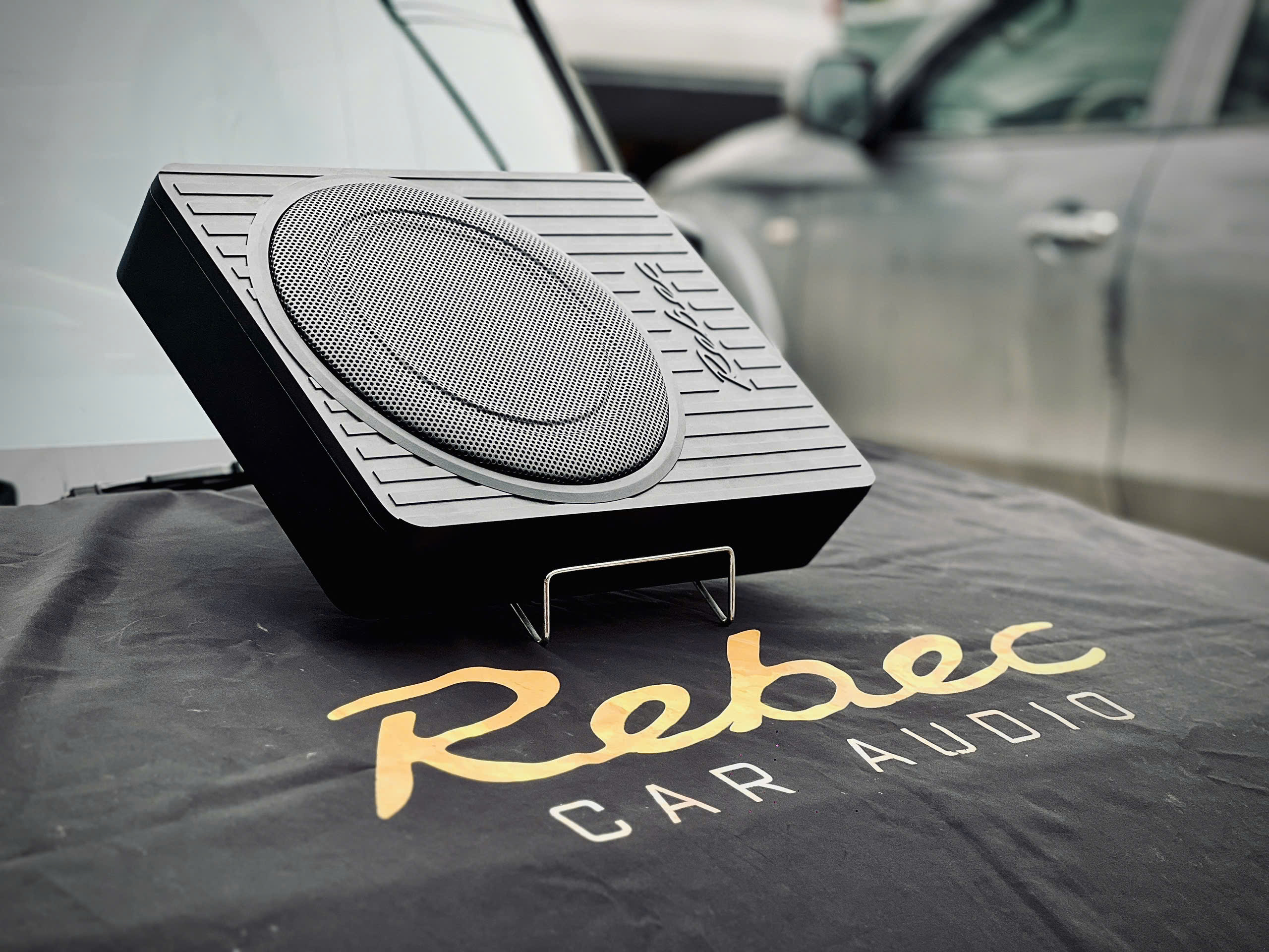Loa SUB oto Rebec U10 – 10 inch – 150W Rms/450W Peak